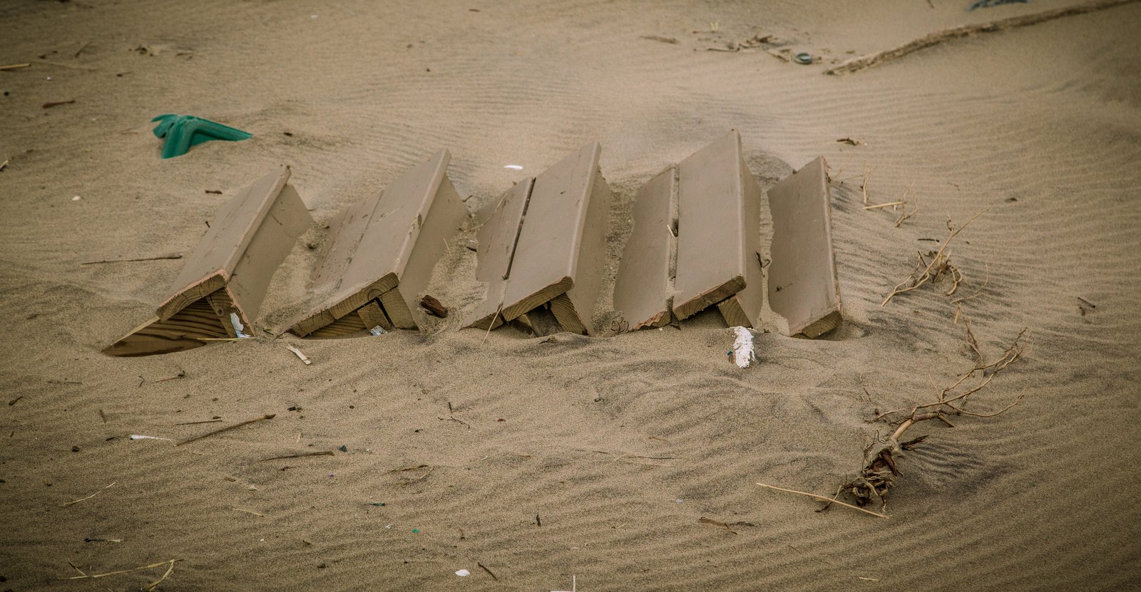 art-of-sandy-mo-seagate 2-51.jpg